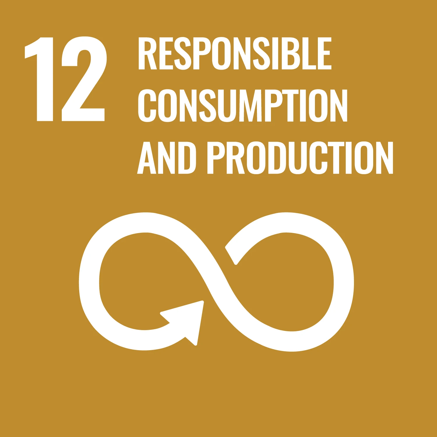 UN Sustainable Development Goal 12 — Responsible consumption and production