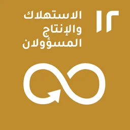 هدف التنمية المستدامة 12 للأمم المتحدة — الاستهلاك والإنتاج المسؤولان